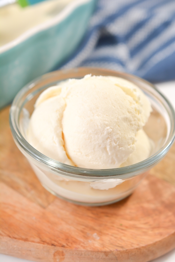 close up of keto vanilla ice cream in a bowl